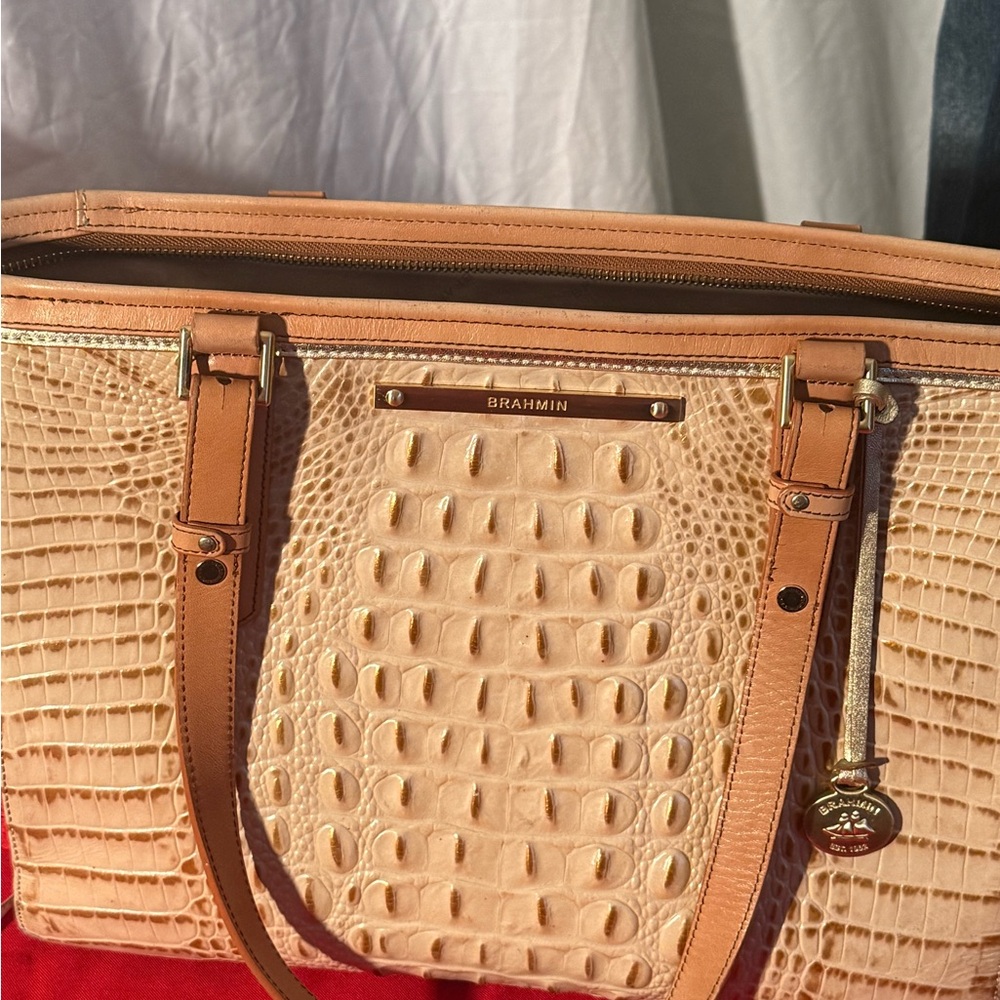 Brahmin Asher large tote
